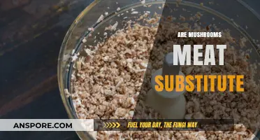 Mushrooms: A Meat Substitute?
