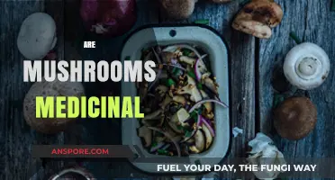 Mushrooms: Nature's Medicine or Just Fungi?