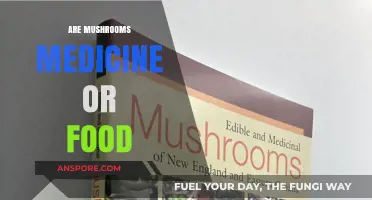 Mushrooms: Superfood or Medicine?
