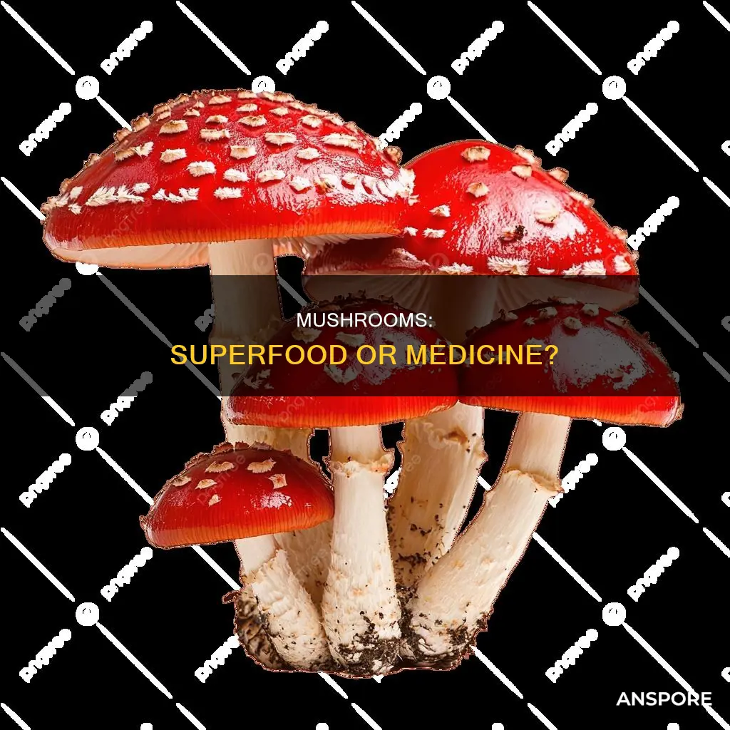 are mushrooms medicine or food