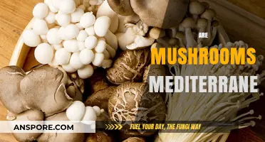 Mushrooms: A Mediterranean Diet Superfood?