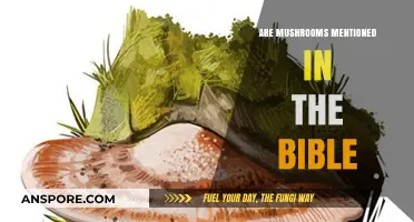 Biblical Mentions of Mushrooms: A Fun Fact