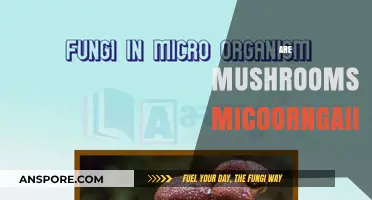 Mushrooms: Microscopic Marvels or Mini-Organisms?