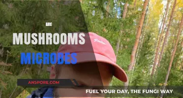 Mushrooms: Microbial Friends or Foes?