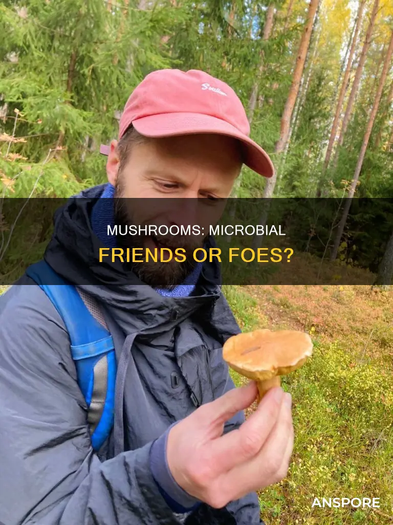 are mushrooms microbes