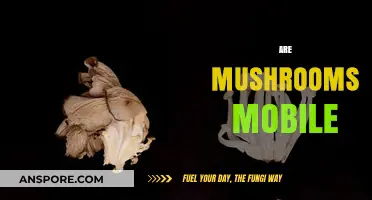 Mushrooms: Mobile or Stationary?