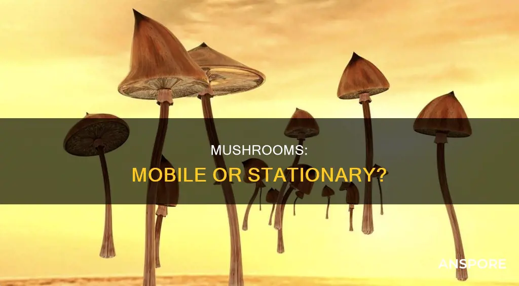 are mushrooms mobile