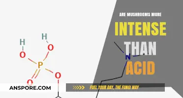 Psychedelics: Comparing the Intensity of Mushrooms and Acid