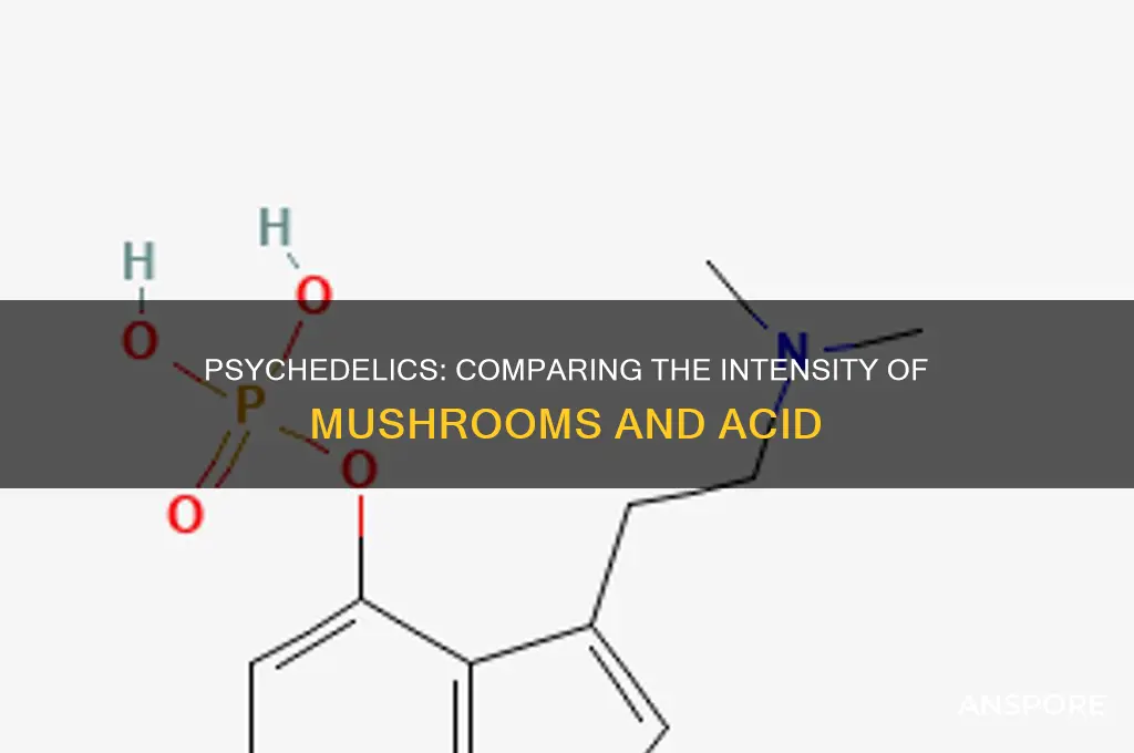 are mushrooms more intense than acid