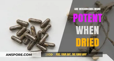 Dried Mushrooms: More Potent or Placebo Effect?