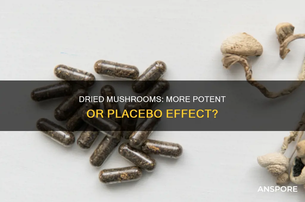 are mushrooms more potent when dried