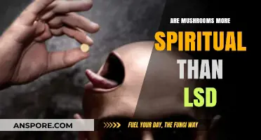 Mushrooms vs LSD: A Spiritual Journey Comparison