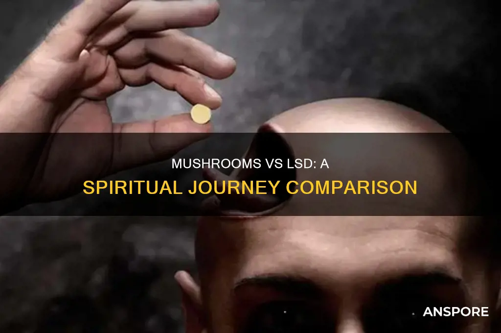 are mushrooms more spiritual than lsd
