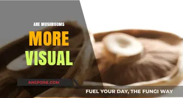 Mushrooms: Visual Delights or Just Plain Weird?