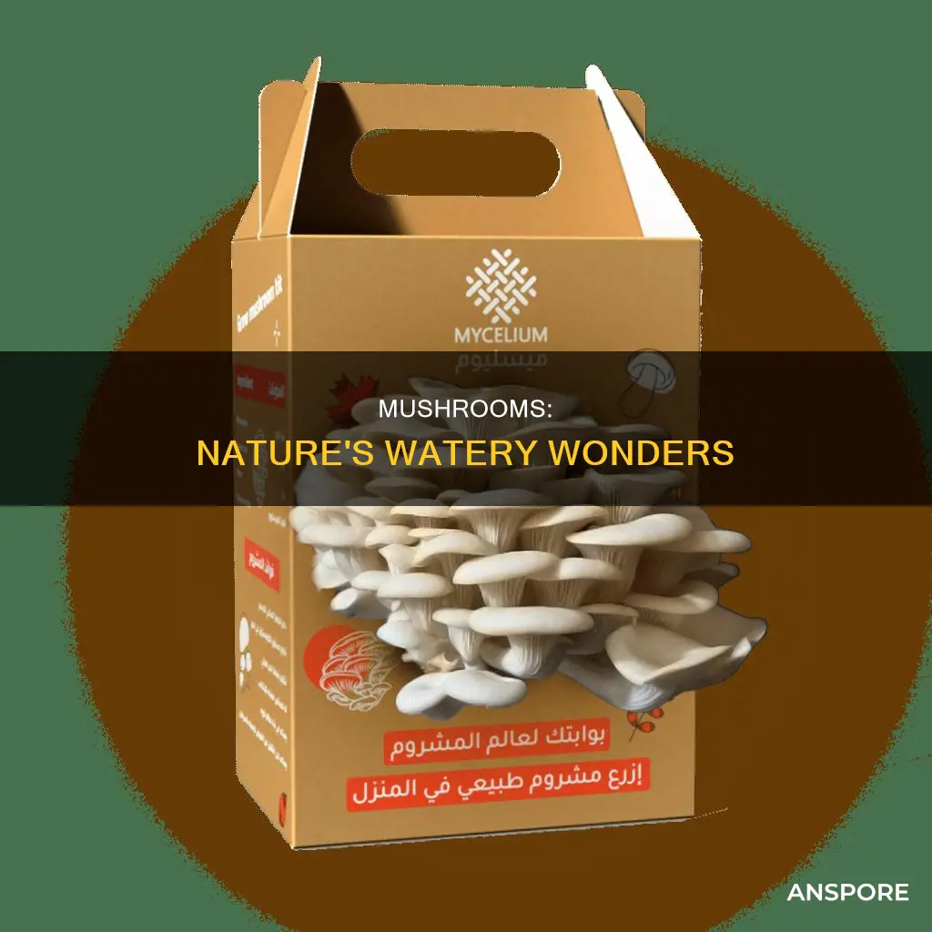 are mushrooms mostly water