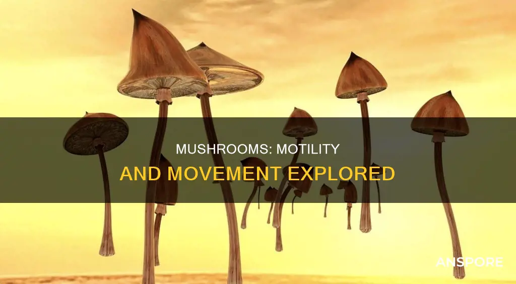 are mushrooms motile