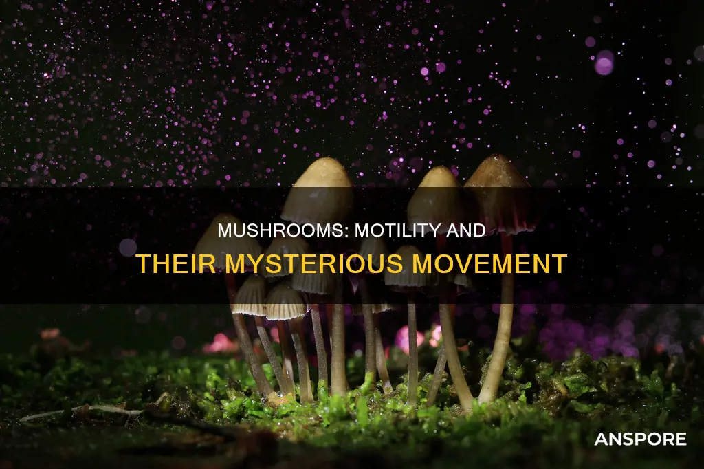 are mushrooms motille