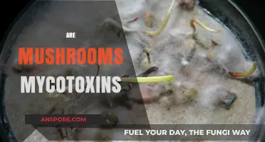 Mushrooms: Mycotoxins or Not?