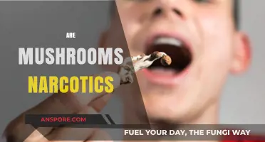Mushrooms: Hallucinogens, Not Narcotics