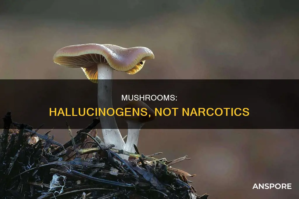 are mushrooms narcotics