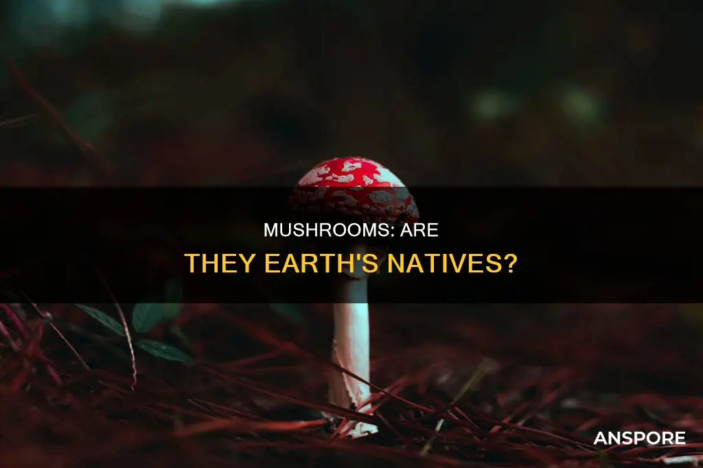 are mushrooms native to earth