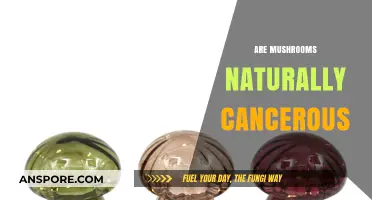 Mushrooms: Cancer-Causing or Cancer-Curing?