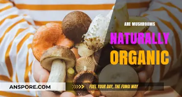 Mushrooms: Naturally Organic Superfood?