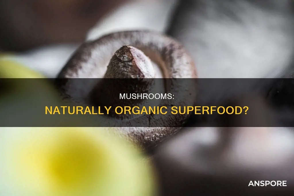 are mushrooms naturally organic