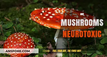 Mushrooms: Neurotoxic or Not?