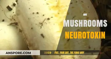 Mushrooms: Neurotoxin or Not?