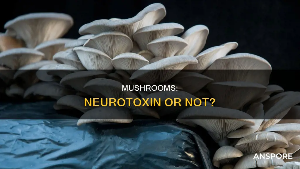 are mushrooms neurotoxin