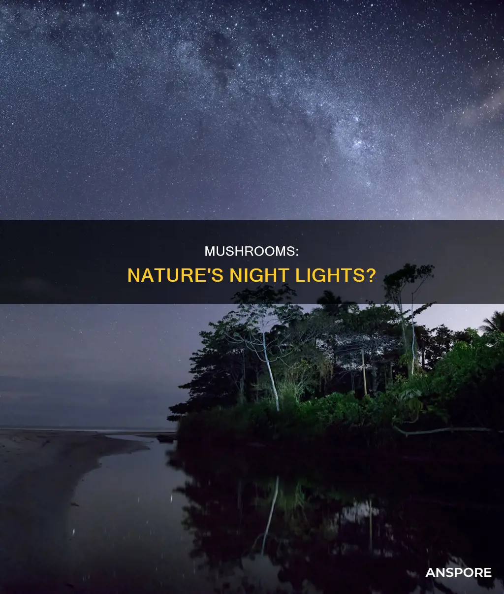 are mushrooms nightsa