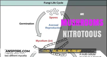 Mushrooms: Nature's Nitro-Boosters?