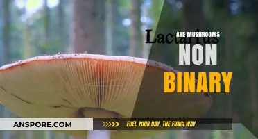 Mushrooms: Nature's Non-Binary Wonder