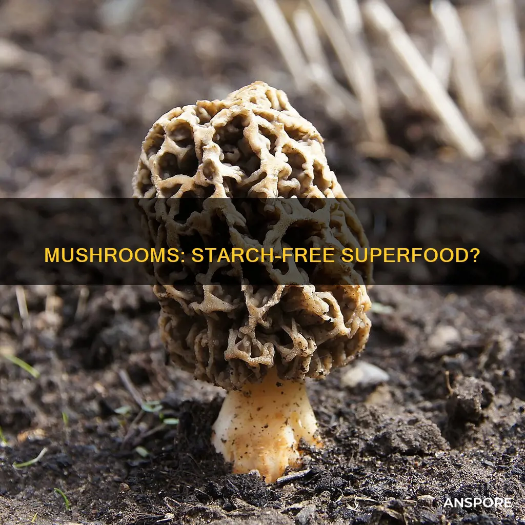 are mushrooms non starchy