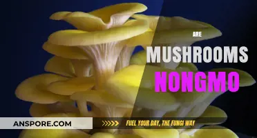 Mushrooms: Naturally Non-GMO Superfood