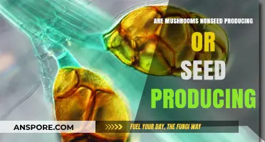 Mushrooms: Seeds or No Seeds?