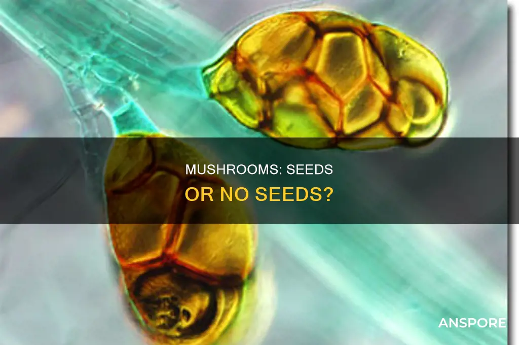 are mushrooms nonseed producing or seed producing