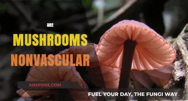Mushrooms: Nonvascular and Unique in the Plant Kingdom