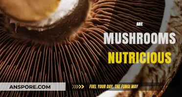 Mushrooms: Super Nutritious or Just Fungi?