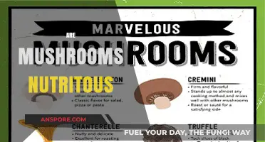 Mushrooms: Nutritional Powerhouses of the Fungi Family