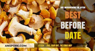 Mushrooms: Safe After Best Before Date?