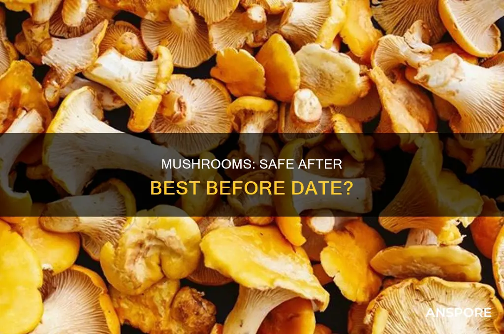 are mushrooms ok after best before date