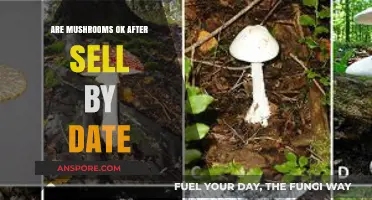 Mushroom Mystery: Safe After Sell-By Date?