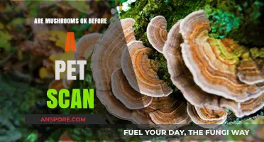 Mushrooms and PET Scans: What You Need to Know