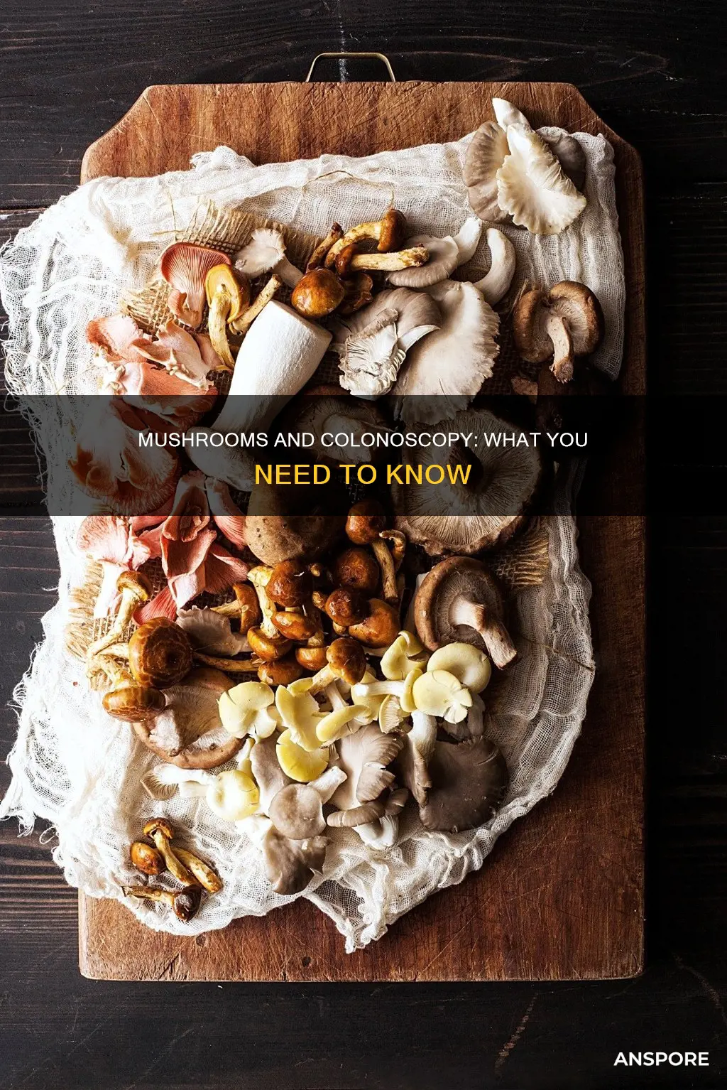 are mushrooms ok before colonoscopy