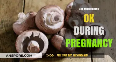 Pregnancy Diet: Are Mushrooms Safe?