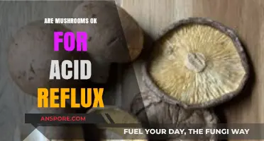 Mushrooms: Friend or Foe for Acid Reflux?