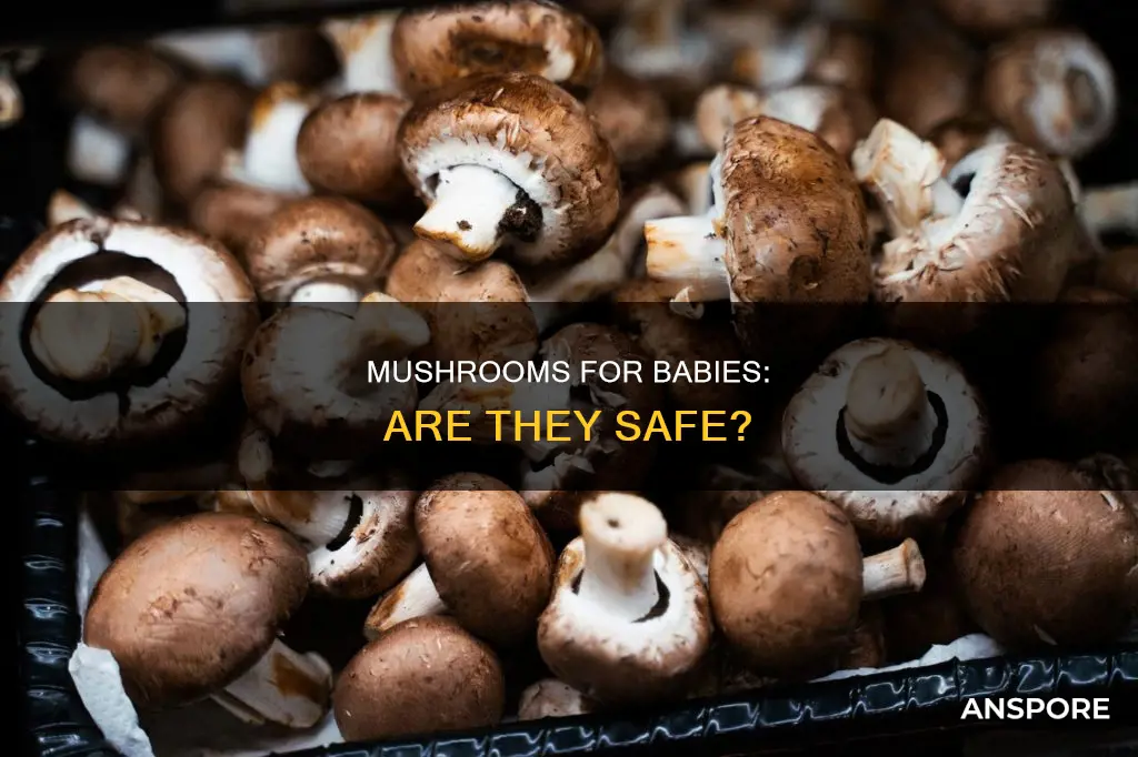 are mushrooms ok for babies