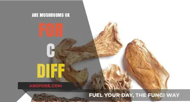 Mushrooms and C. diff: A Safe Combo?